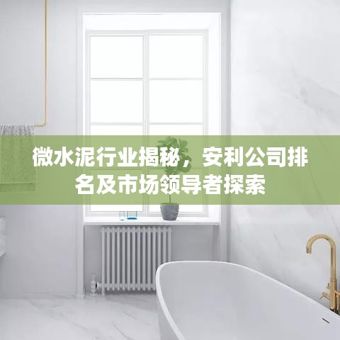 微水泥行業(yè)揭秘，安利公司排名及市場(chǎng)領(lǐng)導(dǎo)者探索