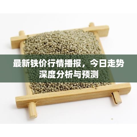 最新鐵價(jià)行情播報(bào)，今日走勢深度分析與預(yù)測