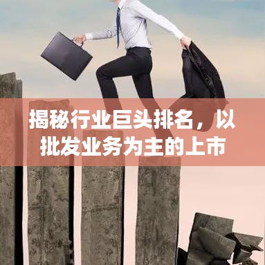 揭秘行業(yè)巨頭排名，以批發(fā)業(yè)務(wù)為主的上市公司趨勢洞察