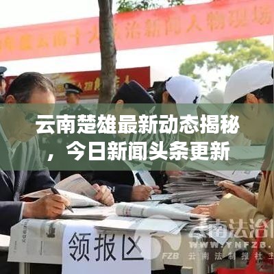 云南楚雄最新動(dòng)態(tài)揭秘，今日新聞?lì)^條更新