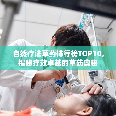 自然療法草藥排行榜TOP10，揭秘療效卓越的草藥奧秘