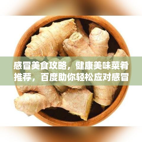 感冒美食攻略，健康美味菜肴推薦，百度助你輕松應(yīng)對(duì)感冒飲食選擇