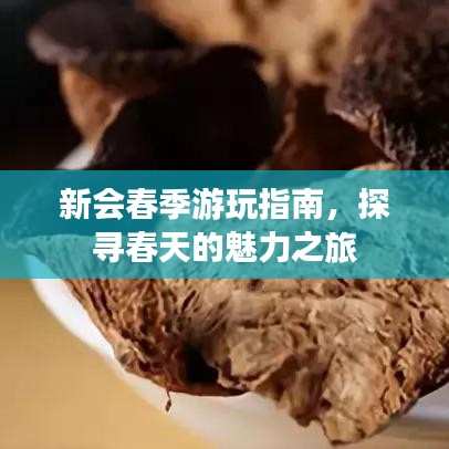 新會(huì)春季游玩指南，探尋春天的魅力之旅