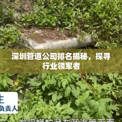 深圳管道公司排名揭秘，探尋行業(yè)領(lǐng)軍者