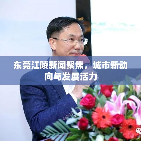 東莞江陵新聞聚焦，城市新動向與發(fā)展活力