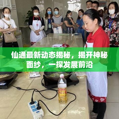 仙通最新動態(tài)揭秘，揭開神秘面紗，一探發(fā)展前沿