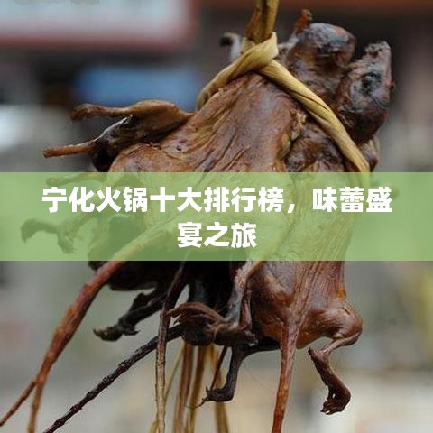 寧化火鍋十大排行榜，味蕾盛宴之旅