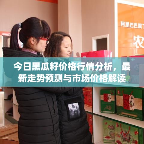 今日黑瓜籽價格行情分析，最新走勢預(yù)測與市場價格解讀