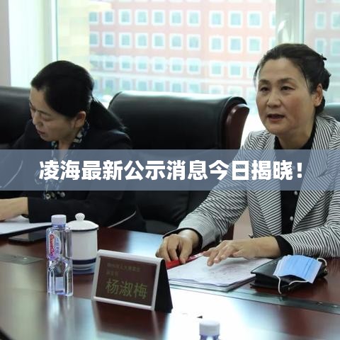 凌海最新公示消息今日揭曉！