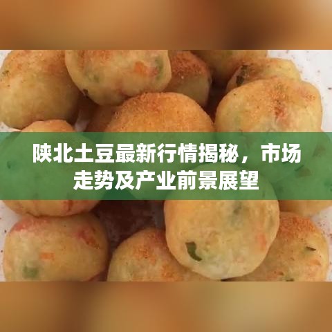 陜北土豆最新行情揭秘，市場走勢及產(chǎn)業(yè)前景展望