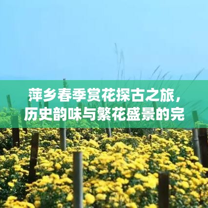 萍鄉(xiāng)春季賞花探古之旅，歷史韻味與繁花盛景的完美結(jié)合