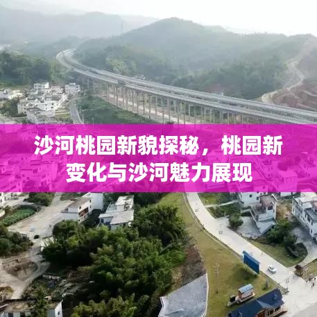 沙河桃園新貌探秘，桃園新變化與沙河魅力展現(xiàn)