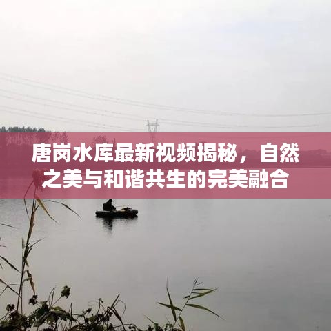 唐崗水庫最新視頻揭秘，自然之美與和諧共生的完美融合