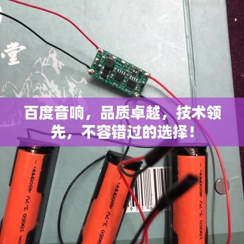 百度音響，品質(zhì)卓越，技術(shù)領(lǐng)先，不容錯(cuò)過的選擇！