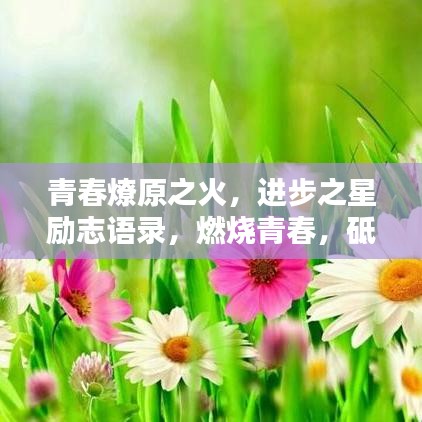 青春燎原之火，進步之星勵志語錄，燃燒青春，砥礪前行