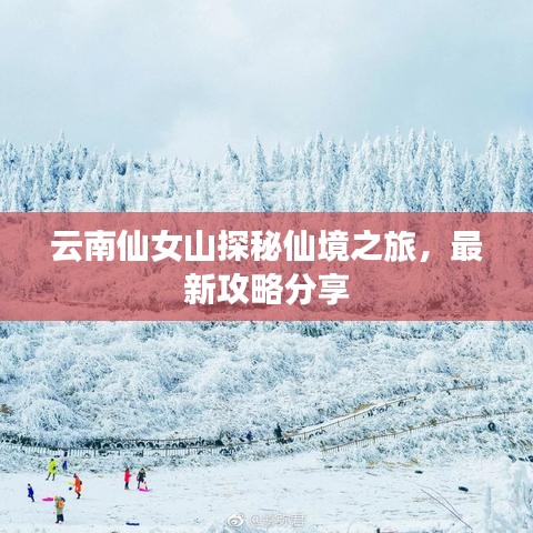云南仙女山探秘仙境之旅，最新攻略分享
