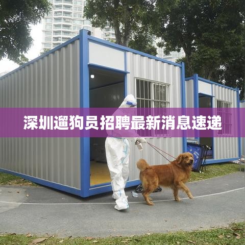 深圳遛狗員招聘最新消息速遞