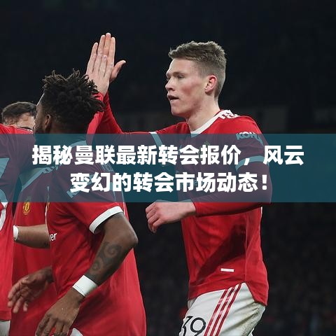 揭秘曼聯(lián)最新轉(zhuǎn)會報價，風(fēng)云變幻的轉(zhuǎn)會市場動態(tài)！