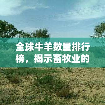 全球牛羊數(shù)量排行榜，揭示畜牧業(yè)的壯闊格局
