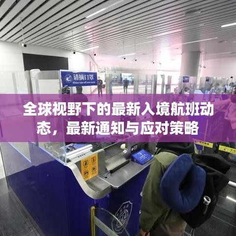 全球視野下的最新入境航班動(dòng)態(tài)，最新通知與應(yīng)對(duì)策略