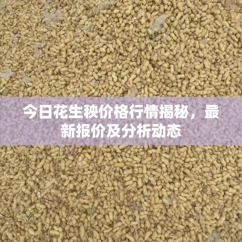 今日花生秧價(jià)格行情揭秘，最新報(bào)價(jià)及分析動(dòng)態(tài)