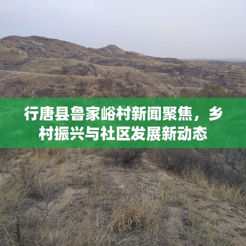 行唐縣魯家峪村新聞聚焦，鄉(xiāng)村振興與社區(qū)發(fā)展新動態(tài)