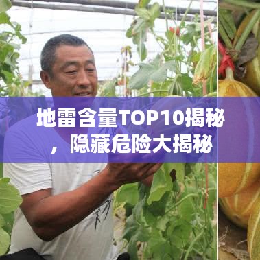 地雷含量TOP10揭秘，隱藏危險大揭秘