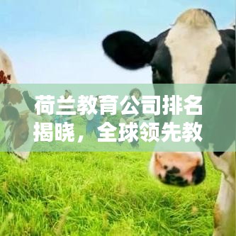 荷蘭教育公司排名揭曉，全球領先教育資源一覽