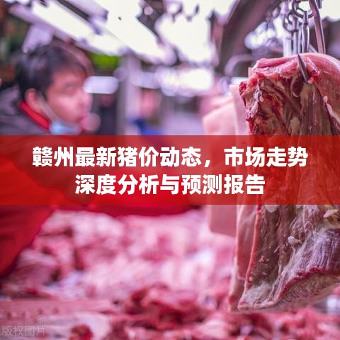 贛州最新豬價動態(tài)，市場走勢深度分析與預(yù)測報告