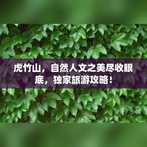 虎竹山，自然人文之美盡收眼底，獨(dú)家旅游攻略！
