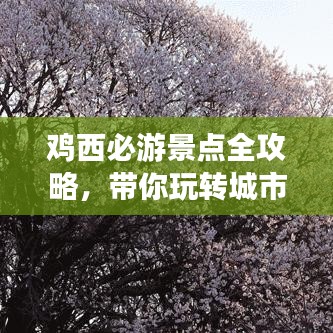 雞西必游景點全攻略，帶你玩轉(zhuǎn)城市魅力之旅