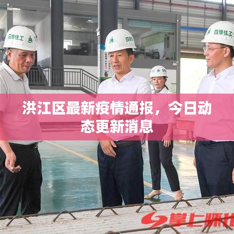 洪江區(qū)最新疫情通報，今日動態(tài)更新消息