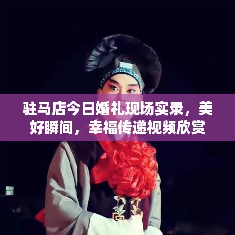 駐馬店今日婚禮現(xiàn)場(chǎng)實(shí)錄，美好瞬間，幸福傳遞視頻欣賞