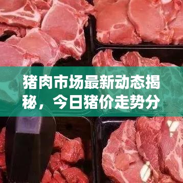 豬肉市場最新動態(tài)揭秘，今日豬價走勢分析及未來展望