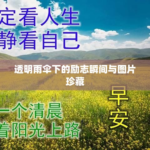 透明雨傘下的勵(lì)志瞬間與圖片珍藏