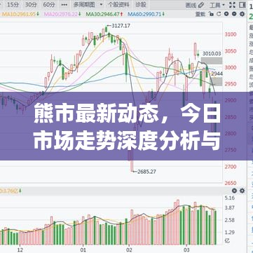 熊市最新動態(tài)，今日市場走勢深度分析與應(yīng)對策略揭秘