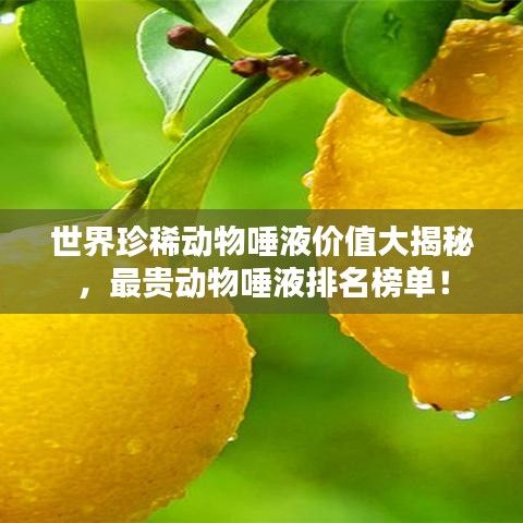 世界珍稀動(dòng)物唾液價(jià)值大揭秘，最貴動(dòng)物唾液排名榜單！