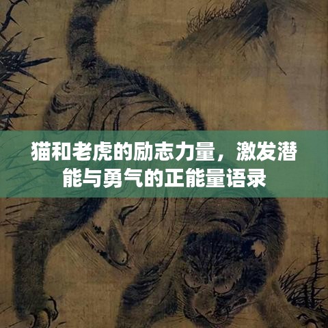 貓和老虎的勵志力量，激發(fā)潛能與勇氣的正能量語錄