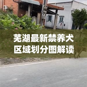 蕪湖最新禁養(yǎng)犬區(qū)域劃分圖解讀揭秘