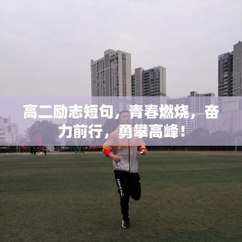 高二勵(lì)志短句，青春燃燒，奮力前行，勇攀高峰！