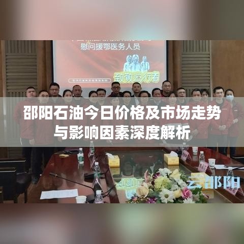 邵陽石油今日價格及市場走勢與影響因素深度解析