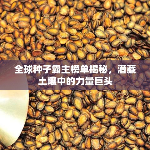 全球種子霸主榜單揭秘，潛藏土壤中的力量巨頭