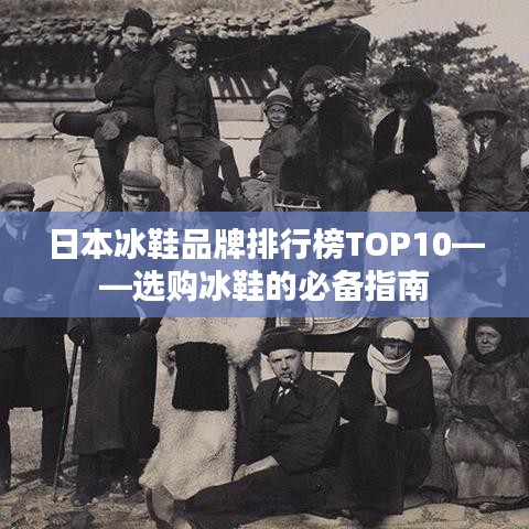 日本冰鞋品牌排行榜TOP10——選購(gòu)冰鞋的必備指南