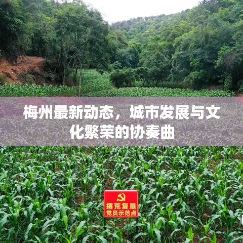 梅州最新動態(tài)，城市發(fā)展與文化繁榮的協(xié)奏曲