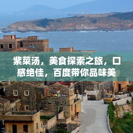 紫菜湯，美食探索之旅，口感絕佳，百度帶你品味美味！