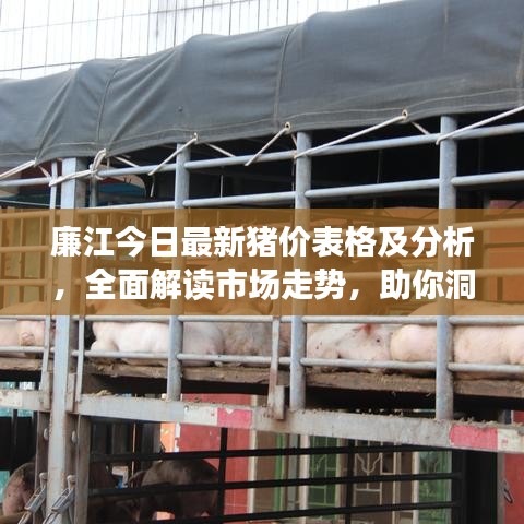 廉江今日最新豬價(jià)表格及分析，全面解讀市場走勢，助你洞悉行情變化！