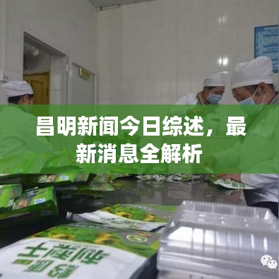 昌明新聞今日綜述，最新消息全解析