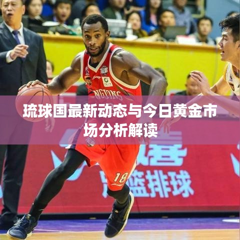 琉球國最新動態(tài)與今日黃金市場分析解讀