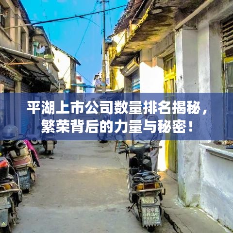 平湖上市公司數(shù)量排名揭秘，繁榮背后的力量與秘密！