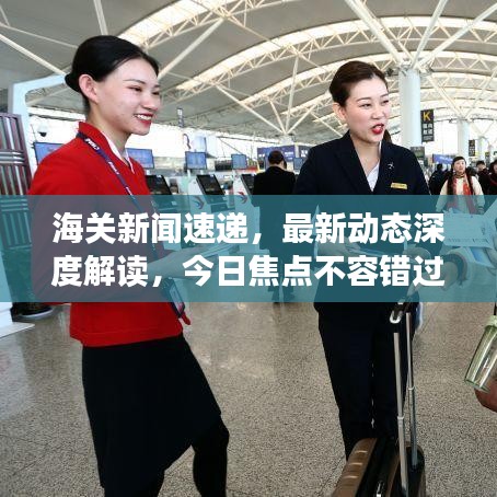 海關新聞速遞，最新動態(tài)深度解讀，今日焦點不容錯過
